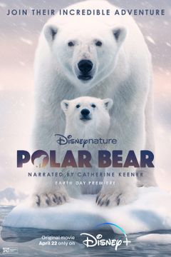 Affiche Ours polaire