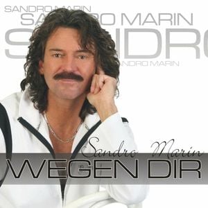 Wegen dir (Single)