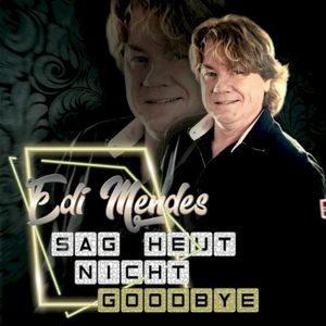 Sag heut nicht Goodbye (Single)