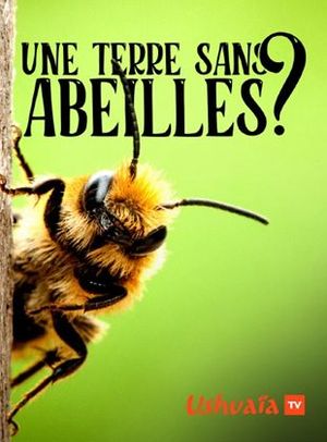 Une Terre sans abeilles ?