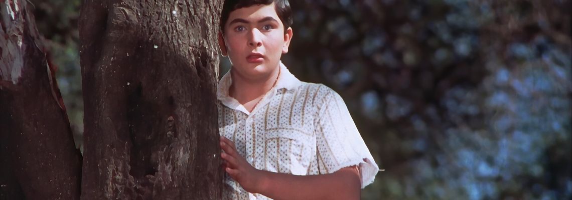 Cover Mera Naam Joker