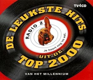 De leukste hits uit de Top 2000 van het millennium