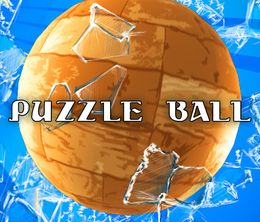 image-https://media.senscritique.com/media/000020592913/0/puzzle_ball.jpg