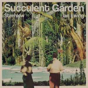 Succulent Garden (Single)