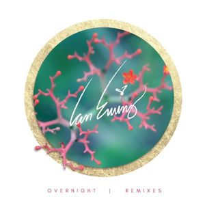 Overnight Remixes