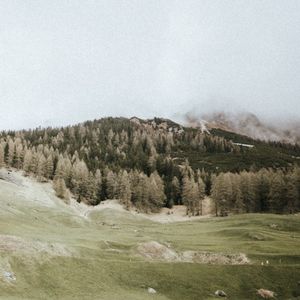 Paths (Single)