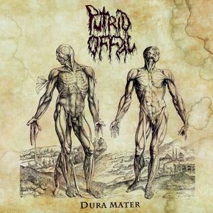 Dura Mater (Single)