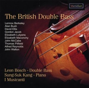 A Little Concerto for Double Bass and String Orchestra: Largo