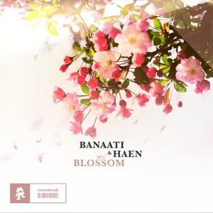Blossom (EP)