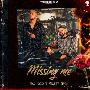 Missing Me (Single)