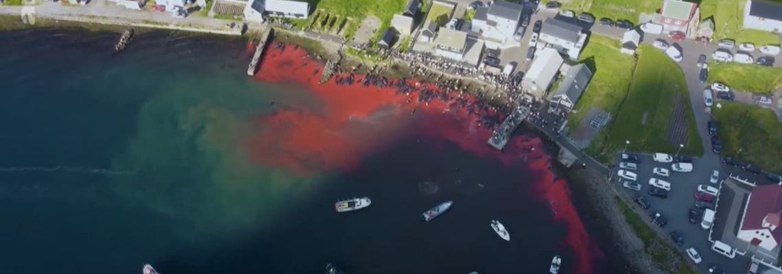 Cover Les îles Féroé - Beautés brutes en Atlantique