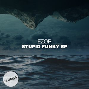 Stupid Funky EP (EP)