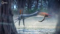 When a Giant Pterosaur Ruled the European Islands