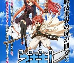 image-https://media.senscritique.com/media/000020603512/0/negima_the_white_wing.jpg