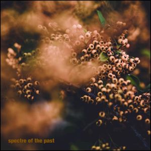 Spectre of the Past EP (EP)