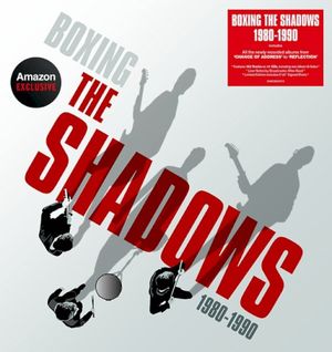 Boxing The Shadows 1980–1990