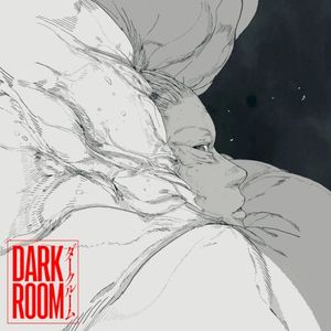 Darkroom (Single)