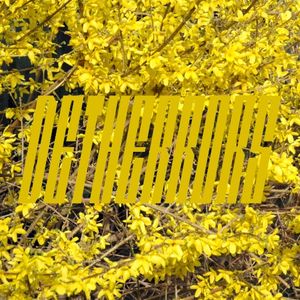 Detherrors (EP)