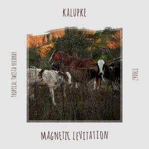 Magnetic Levitation (EP)