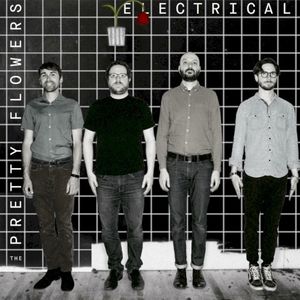 Electrical (Single)