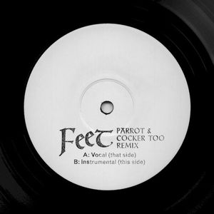 Feet (Parrot and Cocker Too remix)