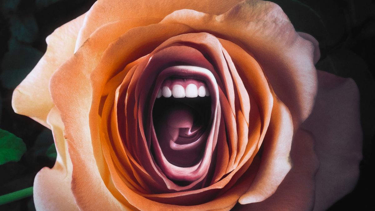 Regarder Roar Celle Qui Trônait Sur Une étagère Roar - Série (2022) - SensCritique
