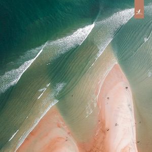 Perseverance (Single)