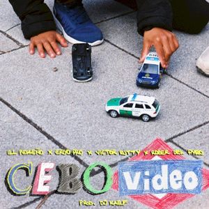 Cebo video