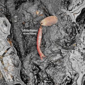 Labrona Gradient