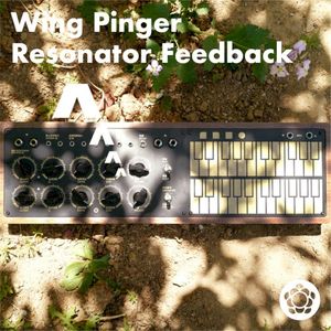 Wing Pinger Resonator Feedback (EP)