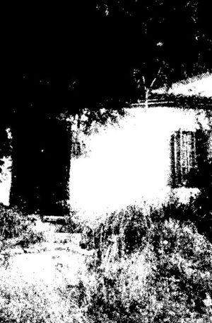 Forbidden Creatures of Time