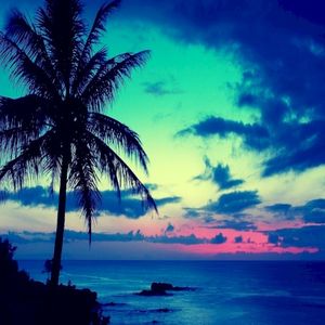 Hawaii (Single)