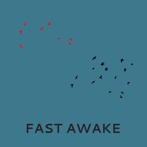 Fast Awake (Single)