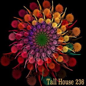 Tall House 236