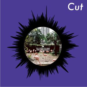 Cut (Single)