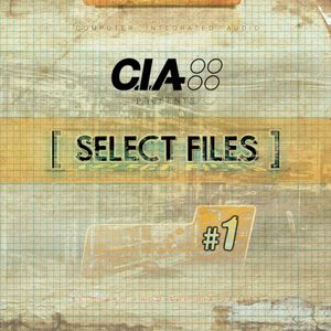 Select Files #1
