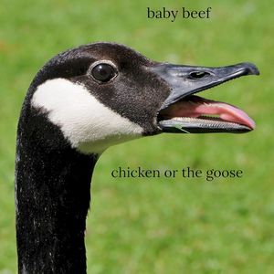 Chicken or the Goose