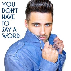 You Don’t Have to Say a Word (Single)