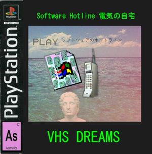 VHSの夢