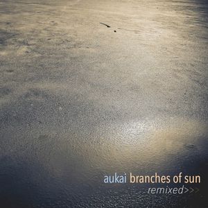 Branches of Sun Remixed