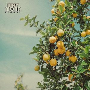 lemons (Single)