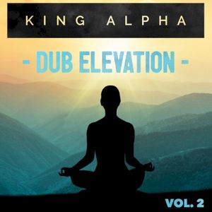 Dub Elevation Vol. 2