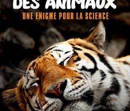 image-https://media.senscritique.com/media/000020625055/0/le_sommeil_des_animaux_une_enigme_pour_la_science.jpg