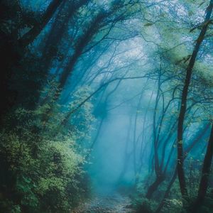 Ritual for the Goddess of Moss and Lichen