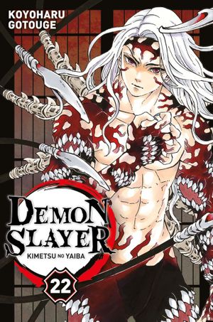 Demon Slayer, tome 22
