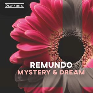 Mystery & Dream (Single)