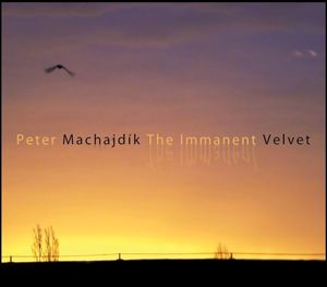 THE IMMANENT VELVET