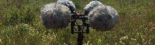 Cover Field Recordings