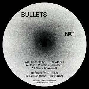 Bullets №3