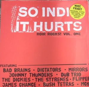 So Indie It Hurts: ROIR Rocks Volume One